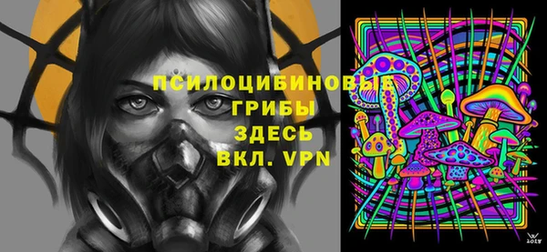 сатива Алзамай