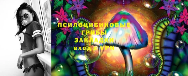 сатива Алзамай