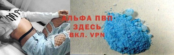 винт Алексин