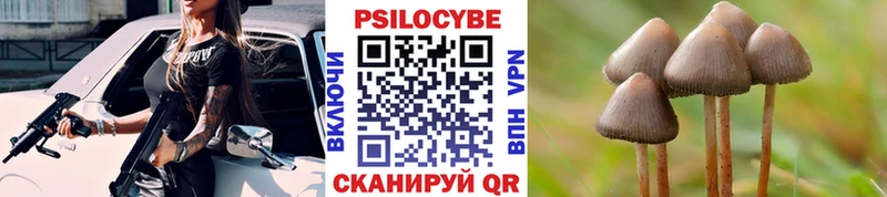как найти наркотики  Родники  Псилоцибиновые грибы GOLDEN TEACHER 