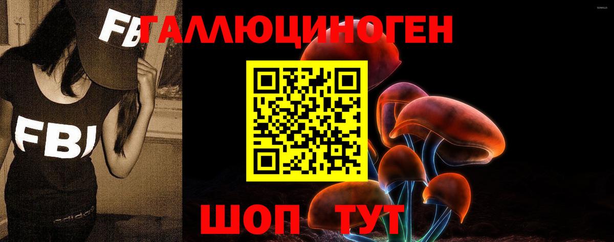 Псилоцибиновые грибы GOLDEN TEACHER  Галлюциногенные грибы Psilocybine cubensis  Родники  Вход с VPN 